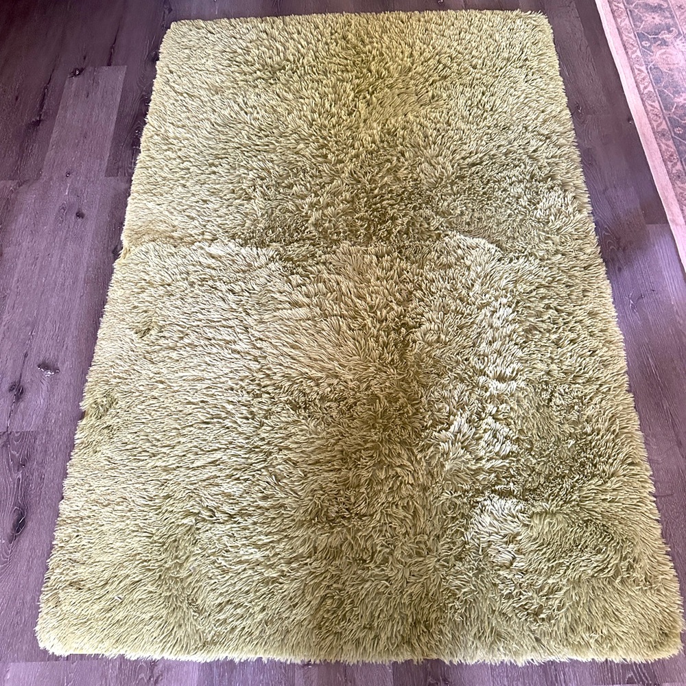 Soft Green Shag Rug